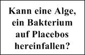 Placebo Geistheilung